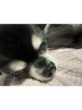 rejas(レジャス) - みあの女の子ブログ画像