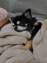 rejas(レジャス) - みあの女の子ブログ画像