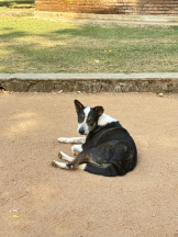 rejas(レジャス) - みあの女の子ブログ画像