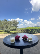 rejas(レジャス) - みあの女の子ブログ画像