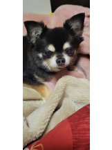 rejas(レジャス) - みあの女の子ブログ画像