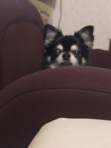 rejas(レジャス) - みあの女の子ブログ画像