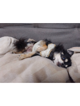 rejas(レジャス) - みあの女の子ブログ画像