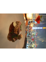 rejas(レジャス) - みあの女の子ブログ画像