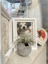 rejas(レジャス) - みあの女の子ブログ画像