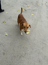 rejas(レジャス) - みあの女の子ブログ画像