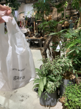 rejas(レジャス) - みあの女の子ブログ画像