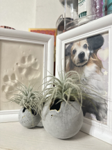 rejas(レジャス) - みあの女の子ブログ画像