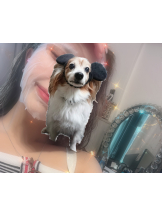 rejas(レジャス) - みあの女の子ブログ画像