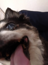 rejas(レジャス) - みあの女の子ブログ画像