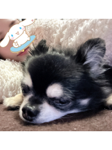 rejas(レジャス) - みあの女の子ブログ画像