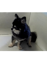 rejas(レジャス) - みあの女の子ブログ画像