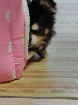 rejas(レジャス) - みあの女の子ブログ画像