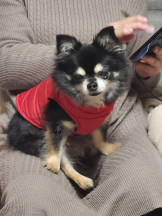 rejas(レジャス) - みあの女の子ブログ画像