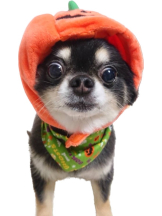 rejas(レジャス) - みあの女の子ブログ画像