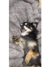 rejas(レジャス) - みあの女の子ブログ画像