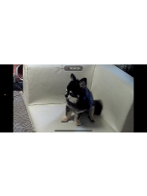 rejas(レジャス) - みあの女の子ブログ画像