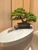 rejas(レジャス) - みあの女の子ブログ画像