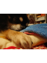 rejas(レジャス) - みあの女の子ブログ画像