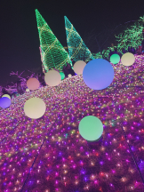 rejas(レジャス) - みあの女の子ブログ画像