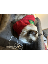 rejas(レジャス) - みあの女の子ブログ画像