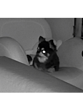 rejas(レジャス) - みあの女の子ブログ画像