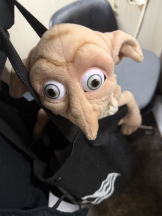 rejas(レジャス) - みあの女の子ブログ画像