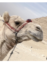 rejas(レジャス) - みあの女の子ブログ画像