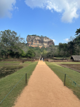 rejas(レジャス) - みあの女の子ブログ画像