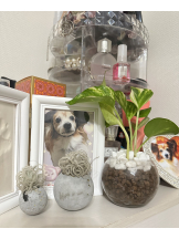 rejas(レジャス) - みあの女の子ブログ画像