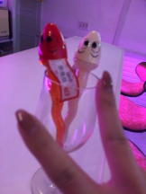 Felice(フェリス) - さなの女の子ブログ画像