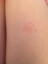 Felice(フェリス) - さなの女の子ブログ画像