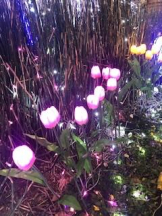 Felice(フェリス) - さなの女の子ブログ画像