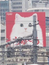 Felice(フェリス) - さなの女の子ブログ画像