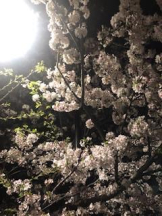 Felice(フェリス) - さなの女の子ブログ画像