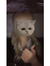 MIUMIU - ねむちの女の子ブログ画像