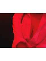 はっち 神田店 - かのんの女の子ブログ画像