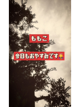 エマニエル 神田店 - ももこの女の子ブログ画像