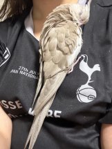 Felice(フェリス) - まゆの女の子ブログ画像