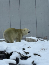 Felice(フェリス) - まゆの女の子ブログ画像