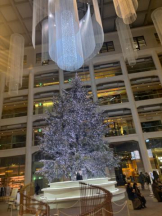 Felice(フェリス) - みおの女の子ブログ画像