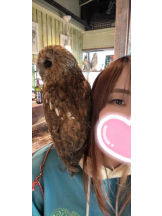 Felice(フェリス) - みおの女の子ブログ画像