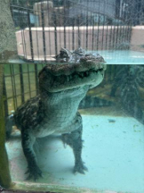 Felice(フェリス) - みおの女の子ブログ画像