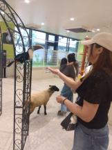 Felice(フェリス) - みおの女の子ブログ画像