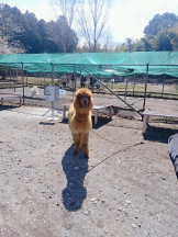 Felice(フェリス) - みおの女の子ブログ画像