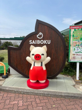 Felice(フェリス) - みおの女の子ブログ画像