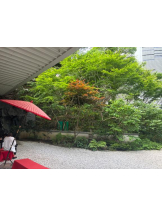 Felice(フェリス) - みおの女の子ブログ画像