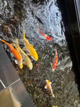 Felice(フェリス) - みおの女の子ブログ画像