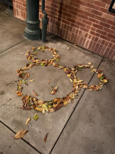 CHERRY DAYS WEST - ほたるの女の子ブログ画像