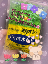 CHERRY DAYS WEST - ほたるの女の子ブログ画像